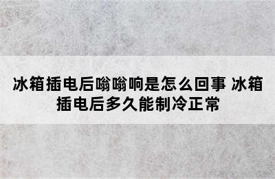 冰箱插电后嗡嗡响是怎么回事 冰箱插电后多久能制冷正常